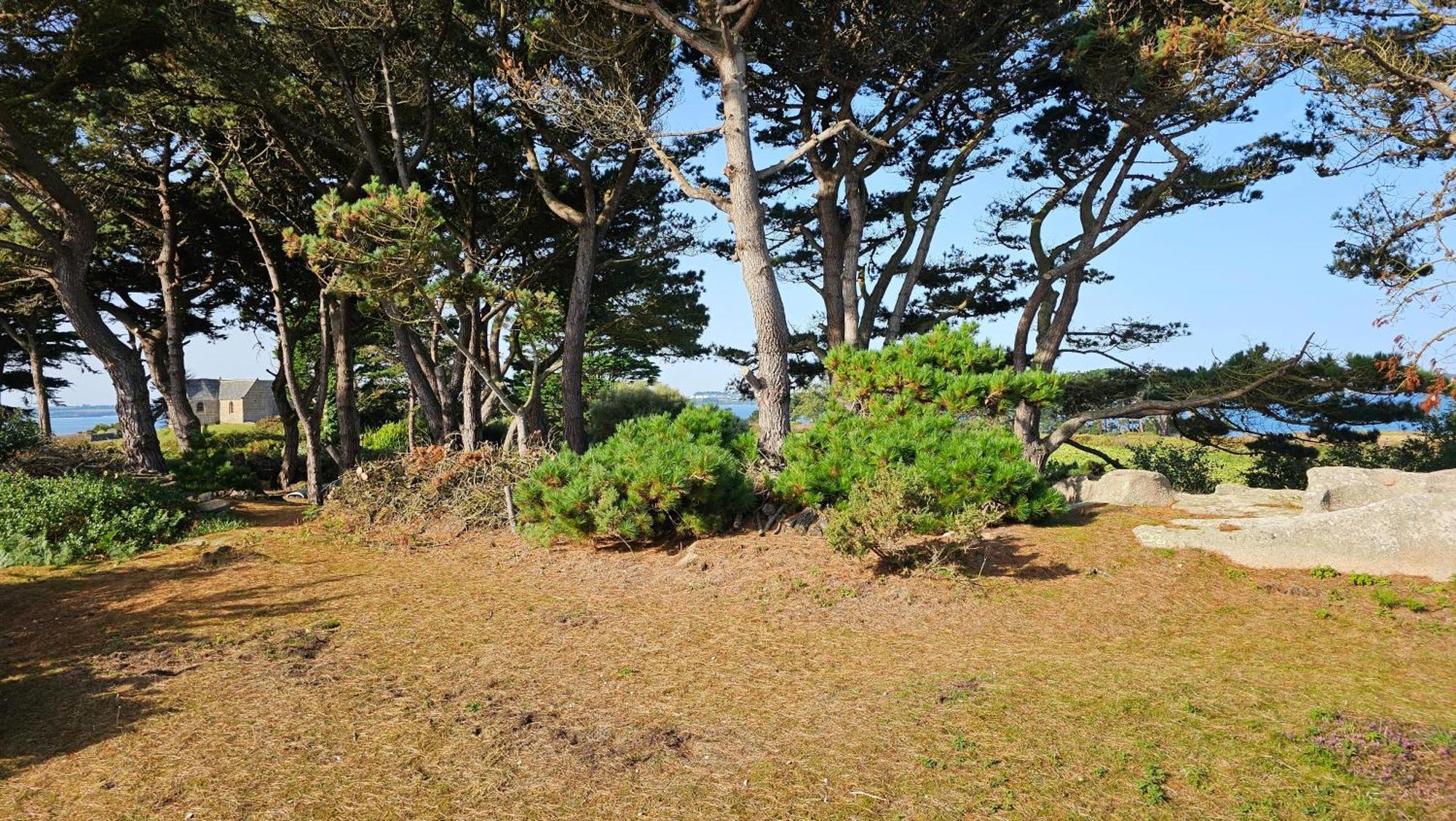 Ker Douara - Ile Callot Carantec Exteriör bild