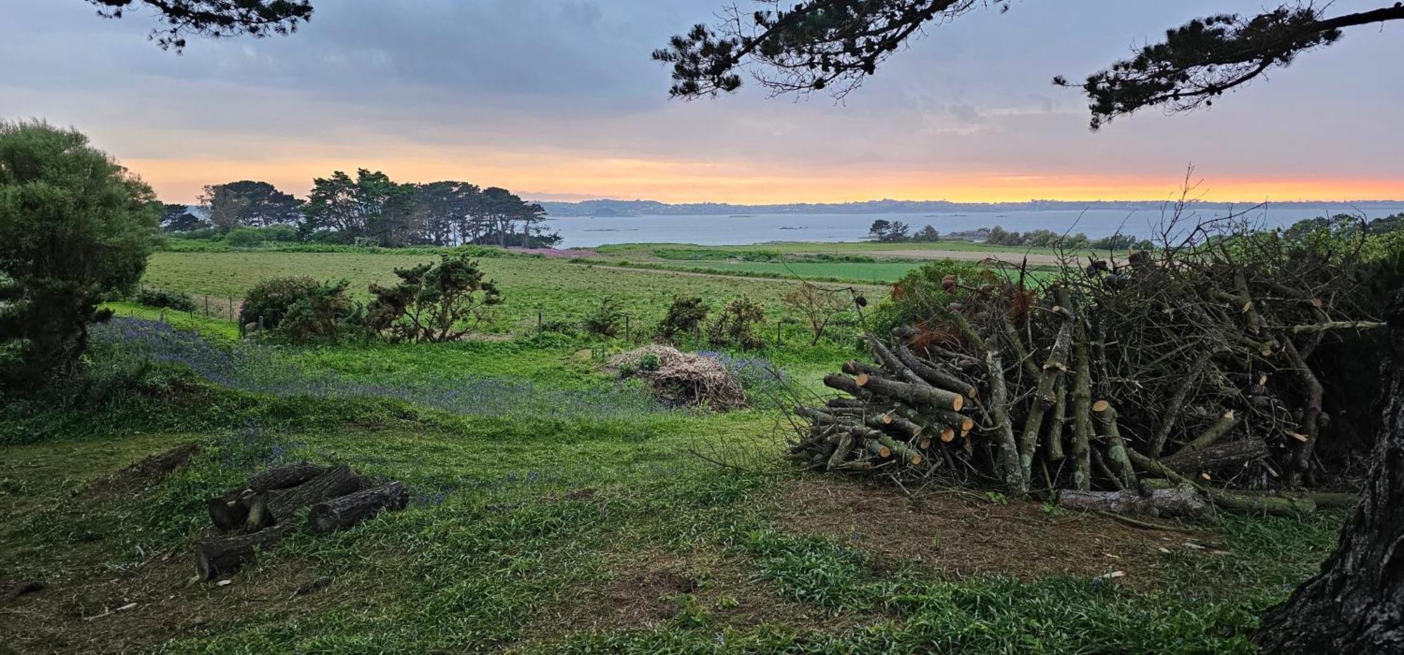 Ker Douara - Ile Callot Carantec Exteriör bild