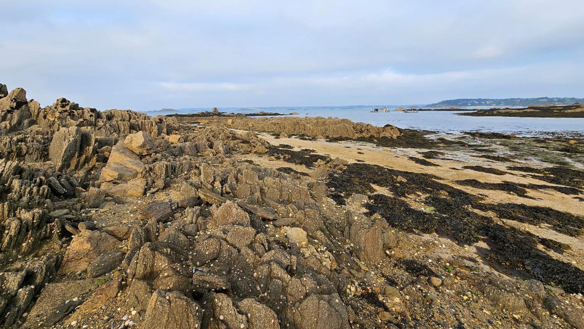 Ker Douara - Ile Callot Carantec Exteriör bild