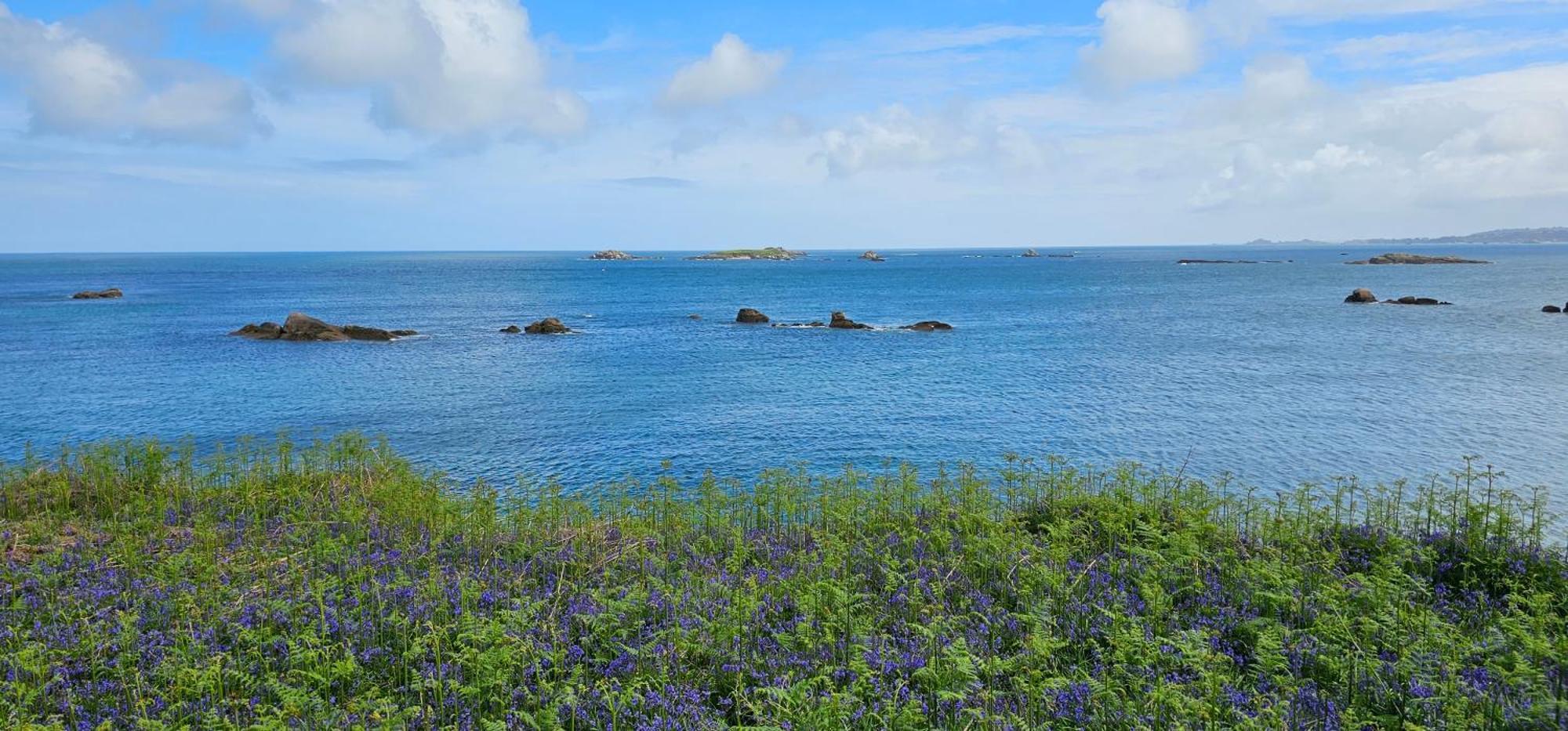 Ker Douara - Ile Callot Carantec Exteriör bild